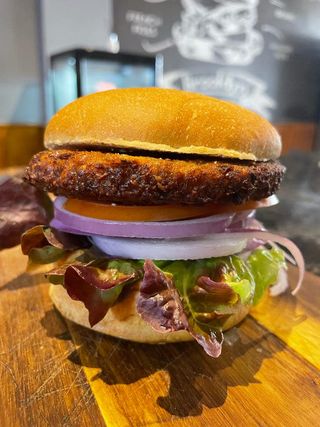 Vegetarian Burger - 110g