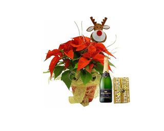 Conjunto regalo Reno