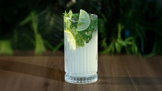 მოჰიტო პიტნით