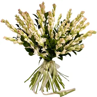 Tuberoze 31 fire, aniversare