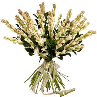 Tuberoze 31 fire, aniversare