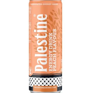 Palestine energy  alla pesca 