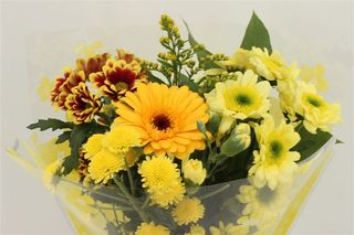 yellow