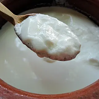 Kiselo mleko 