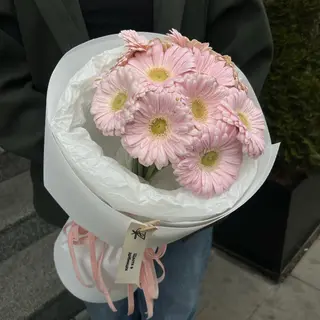 11 гербер bride