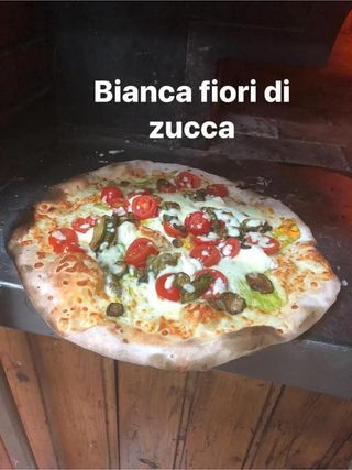 Fiori di zucca - bianca