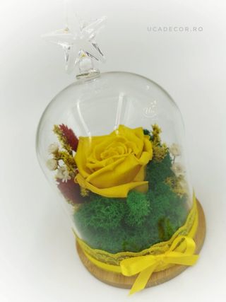 Trandafir criogenat in cupola Uca90