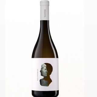 Vino bianco Falanghina 