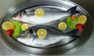 Orada