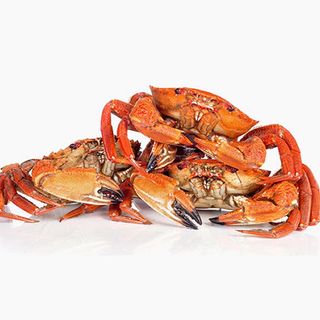 Navalheira da Escócia