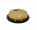 Setteveli al pistacchio