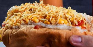 Cachorro Tudo ou Nada