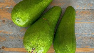 Aguacate Gigante (1 Uds)