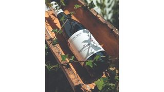 Winery Gevelli - Saperavi-Qvevri