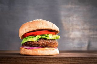 Burger vegetal