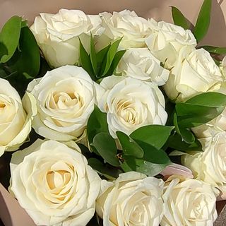 Bukiet róż  białych 15 szt