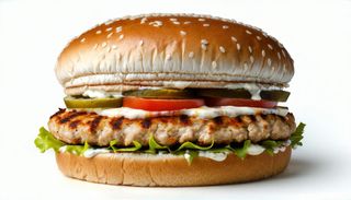 Panino double  chicken burger