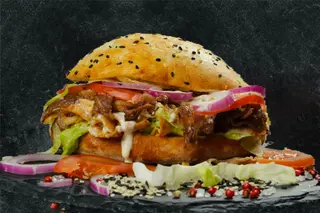 Doner de vita