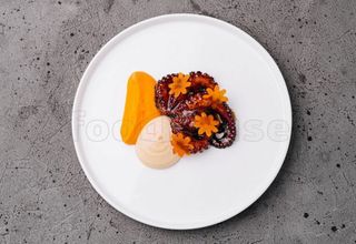 Caracatiță cu mousse de cartofi prăjiți