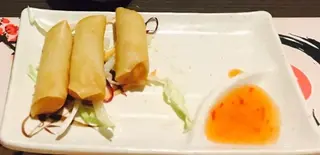 Involtini primavera