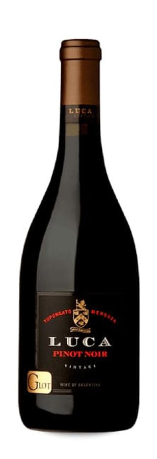 Luca Pinnot Noir