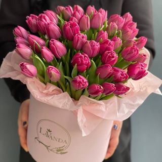 51 тюльпан у коробці