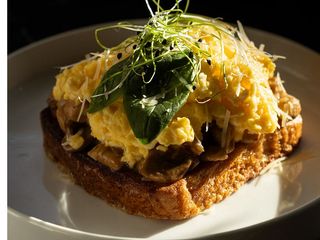 Бріош з куркою (310g)