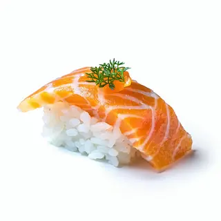 SH31 Shake Salmón (2 uds.)
