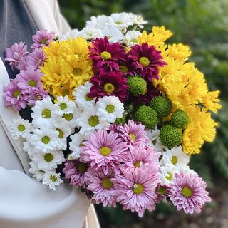 ჰოლანდიური ფერადი ქრიზანთემა 10 ტოტი