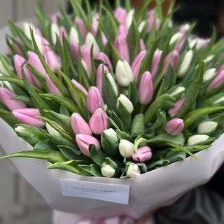 101 tulips