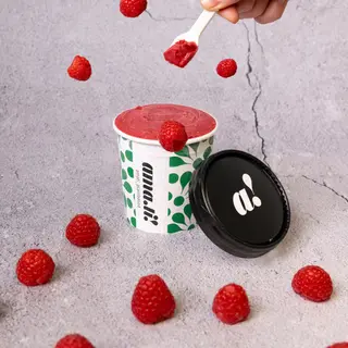 Monogusto Gelato Crudo 120g