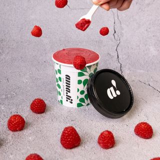 Monogusto Gelato Crudo 120g