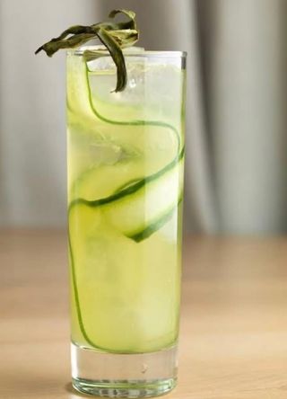 Cucumber Cooler