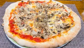 Funghi