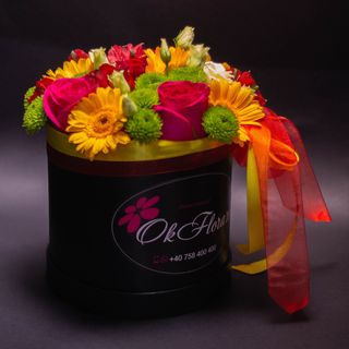 Aranjament în Cutie Nr.17