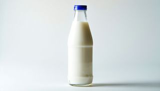 Kefir 480ml