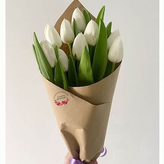 თეთრი ტიტები (9)