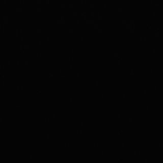 Ananas copt cu susan