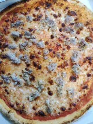 Sarda