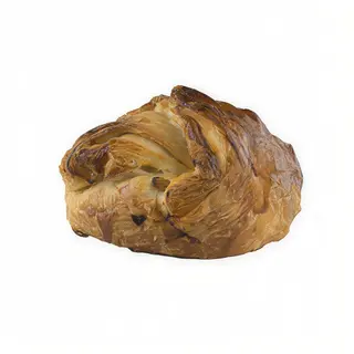 Cipollina