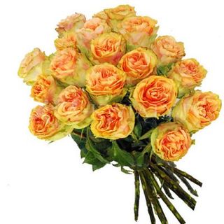 20 Pomarczowych róż 