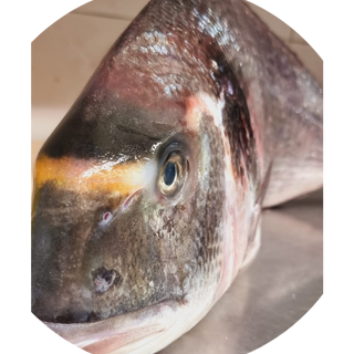 Orata alla griglia 300 g