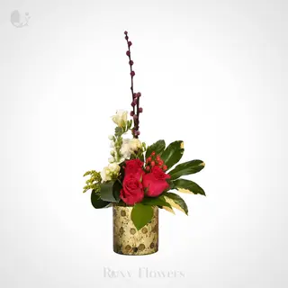 Ambient rosu