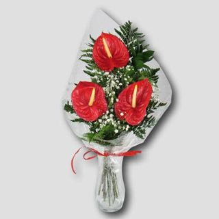Ramo 3 Anthurium