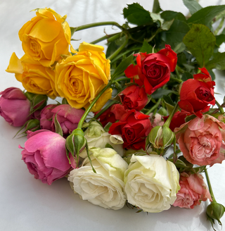 ჯუჯა ვარდები 5 ტოტი/5 branches of small roses