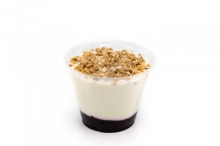 YOGUR ARANDANOS