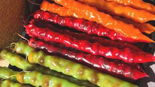 Czurczchela ze śliwką i orzechem włoskim