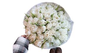 #8 45 białych pełnych tulipanów