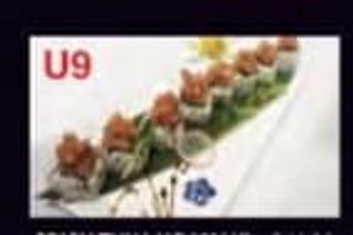 U9 Spicy tuna uramaki