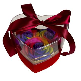 Trandafiri Rainbow din spuma